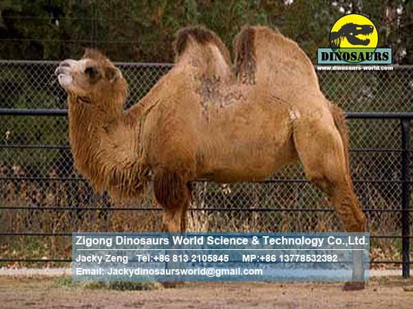 Playing items for kids in parks animatronic animals Camel DWA061